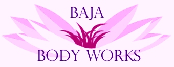 Baja Body Works Logo